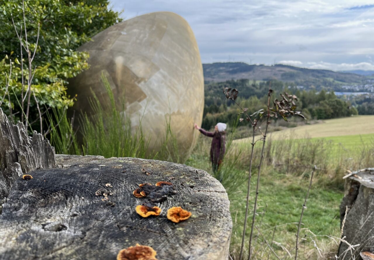 Hiking special at the New CAPITOL – nature experience with culinary delight