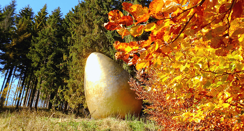 Waldskulpturenweg_Rothaarsteig_DSCI1769-800x430 Waldskulpturenweg_Rothaarsteig_DSCI1769-800x430