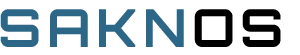 SAKNOS Online Services https://www.capitol-blb.de/wp-content/uploads/2026/06/SAKNOS-Online-Services.png
