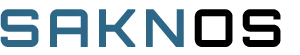https://www.capitol-blb.de/wp-content/uploads/2026/06/SAKNOS-Online-Services.png